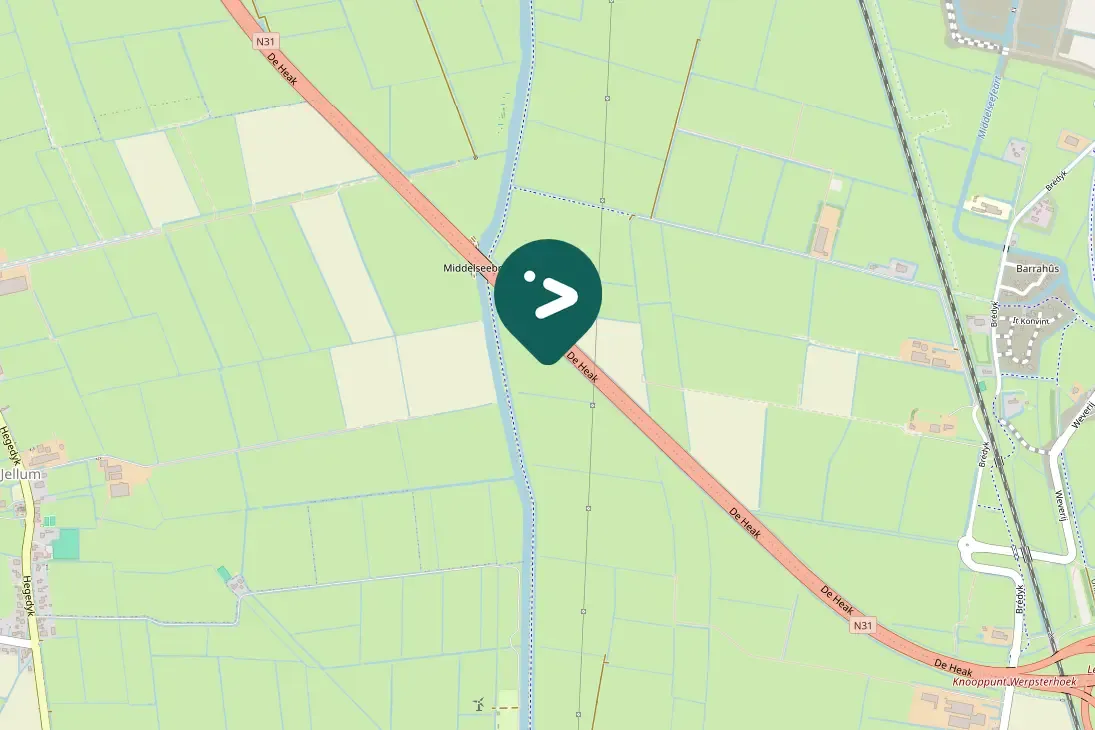 Spotted Western Barn Owl