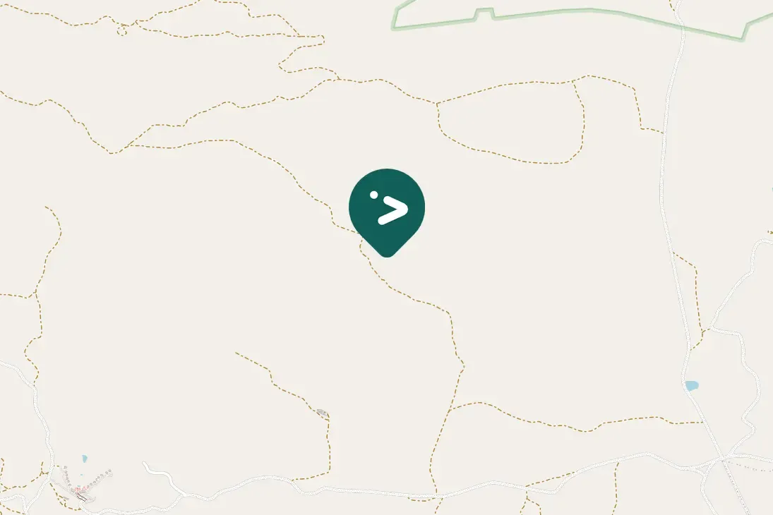 Gespotte Dominicanerwida