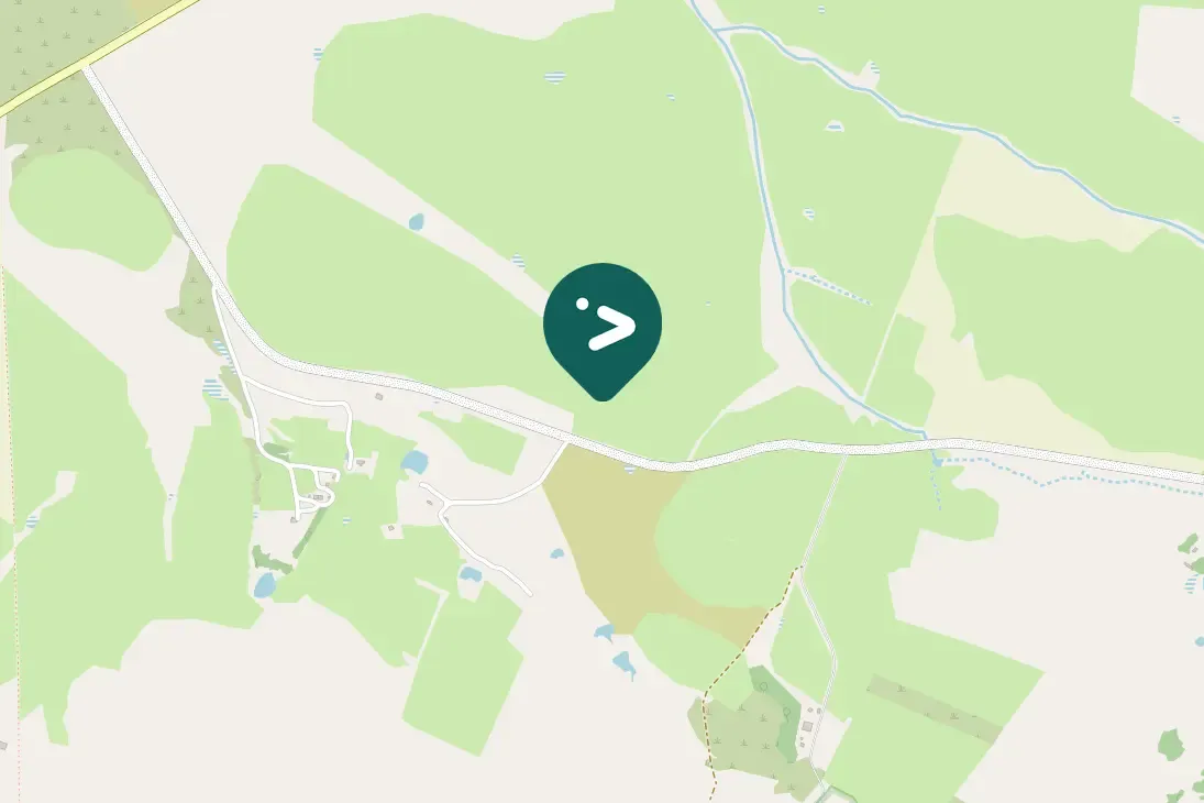 Spotted Secretarybird