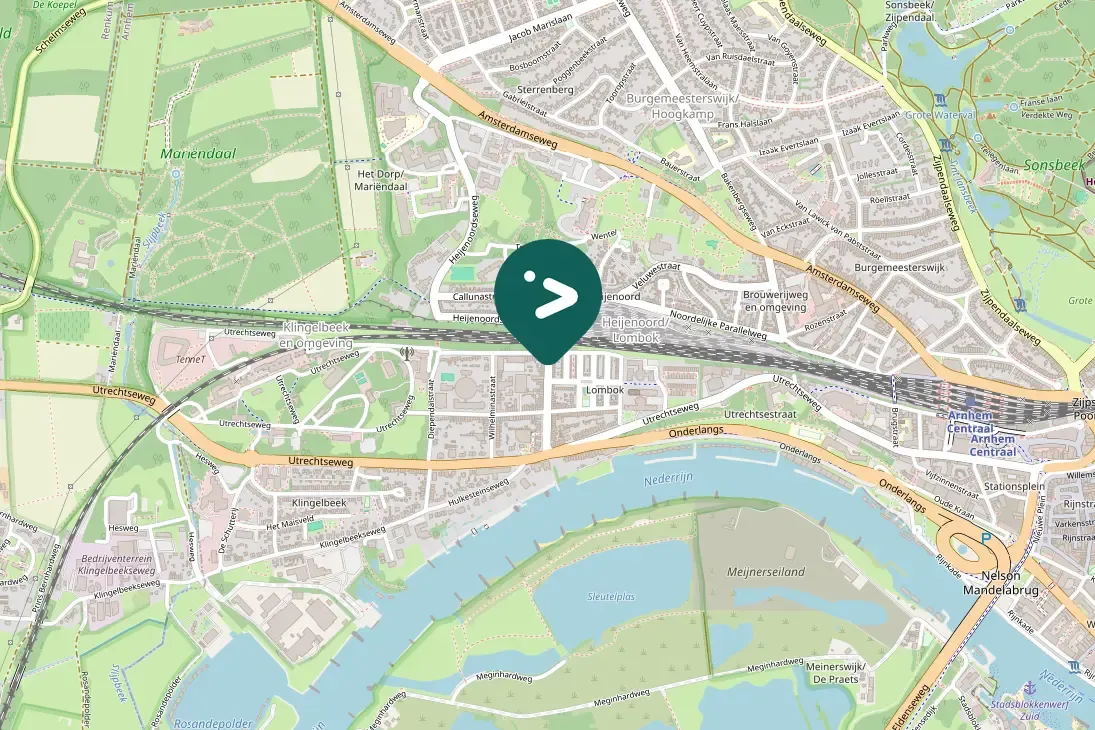 Spotted Eurasian Collared-Dove