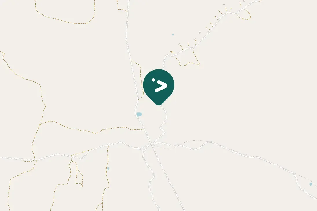 Spotted Common Ostrich