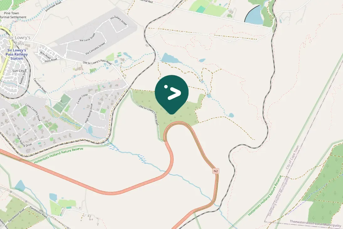 Spotted Spur-winged Goose