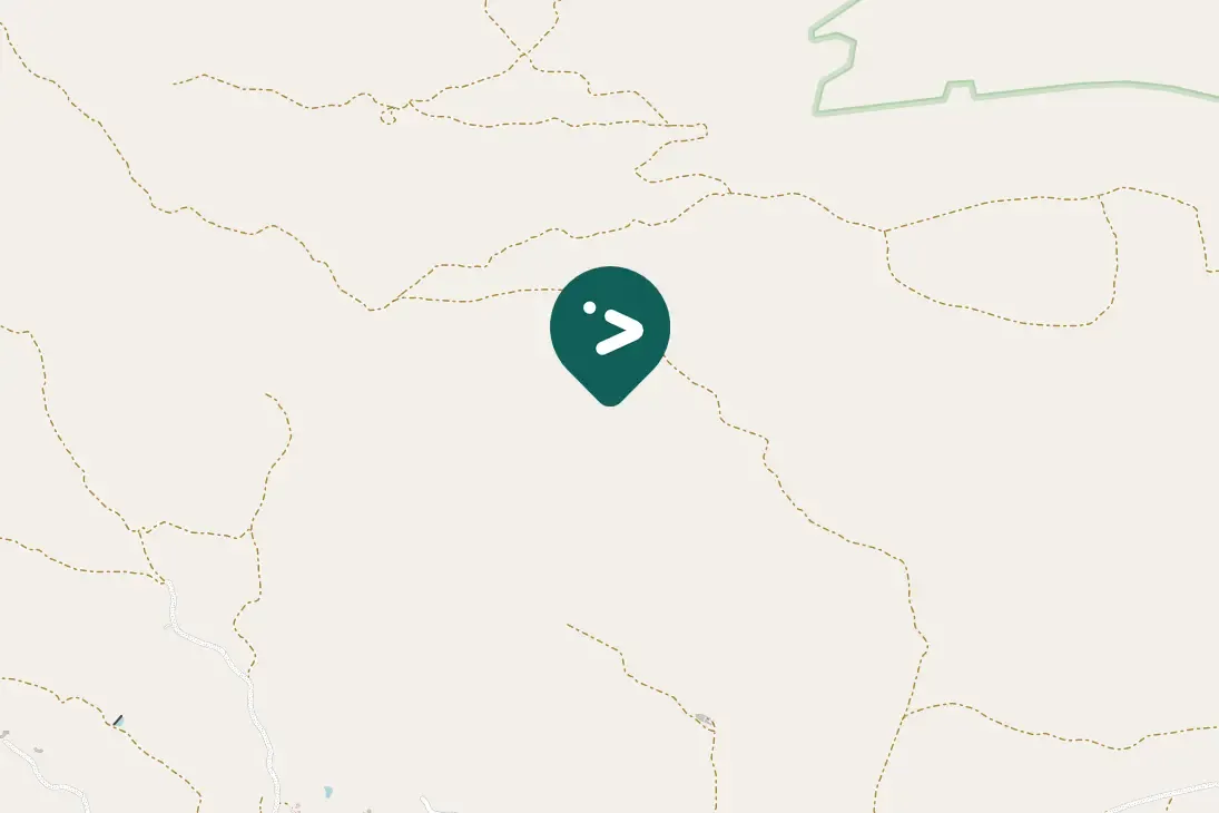 Spotted Fork-tailed Drongo