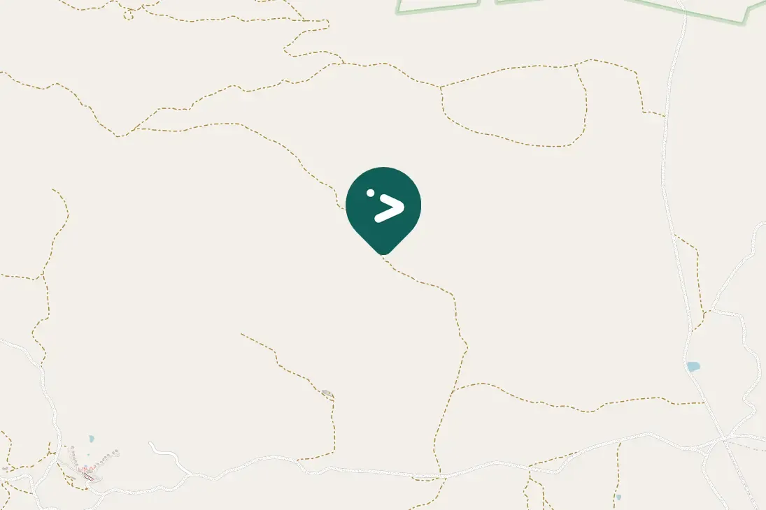 Spotted Jackal Buzzard