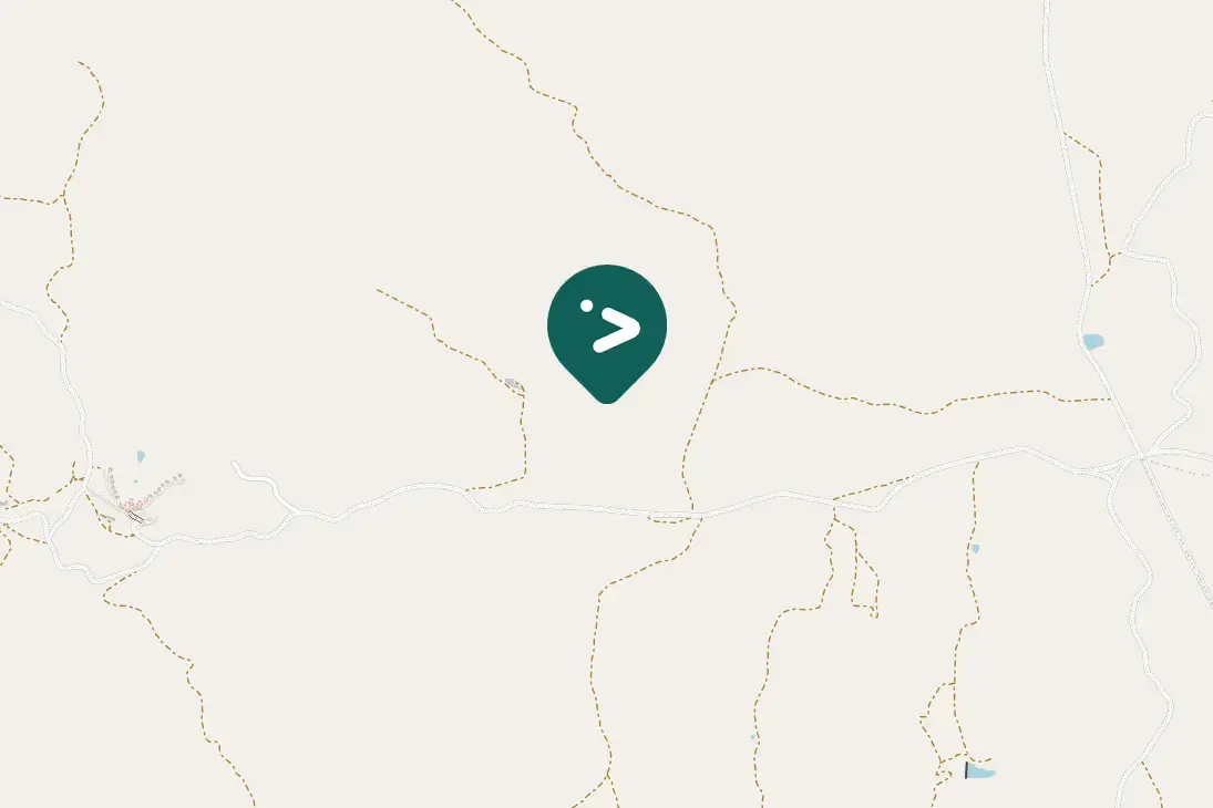 Spotted Forest Buzzard