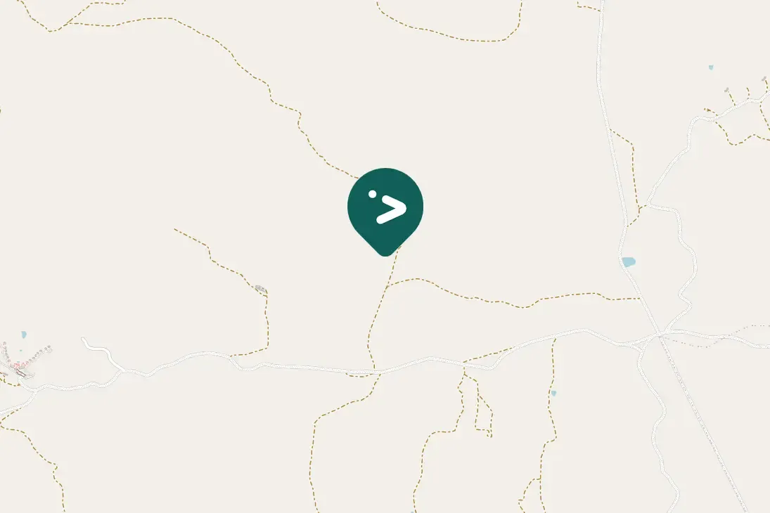 Spotted Yellow Bishop