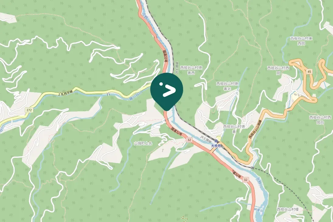 Spotted Gray Wagtail