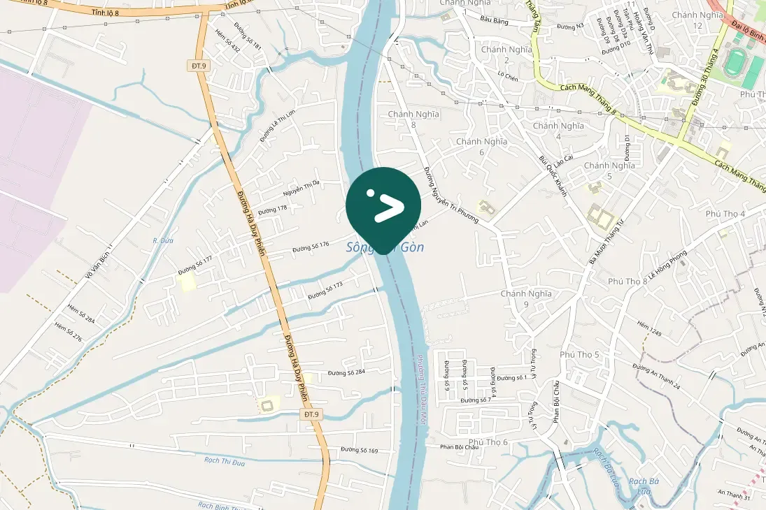 Spotted Little Egret