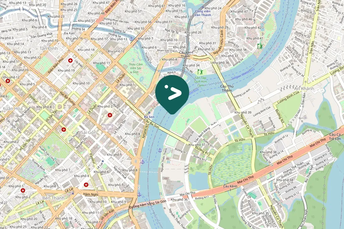 Spotted Little Cormorant