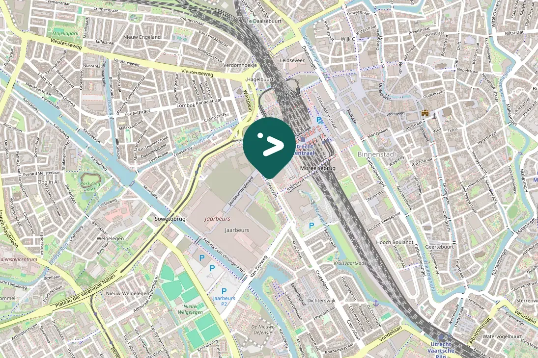 Spotted Lesser Black-backed Gull