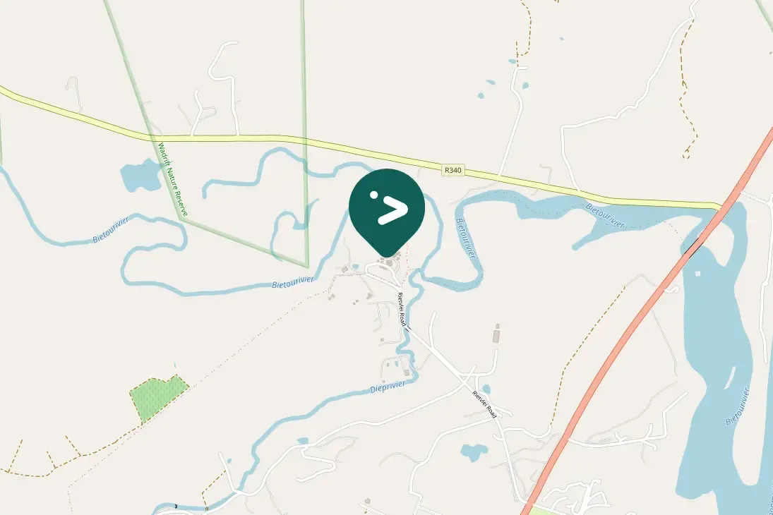 Spotted Southern Masked-Weaver