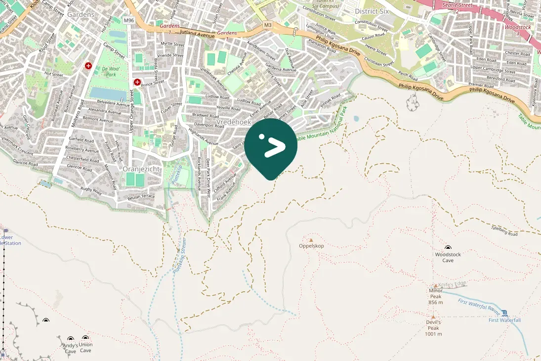 Spotted Southern Fiscal