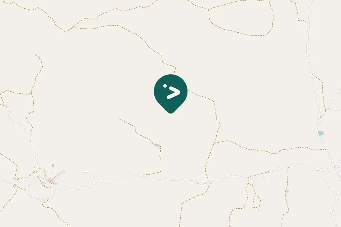 Spotted White-necked Raven