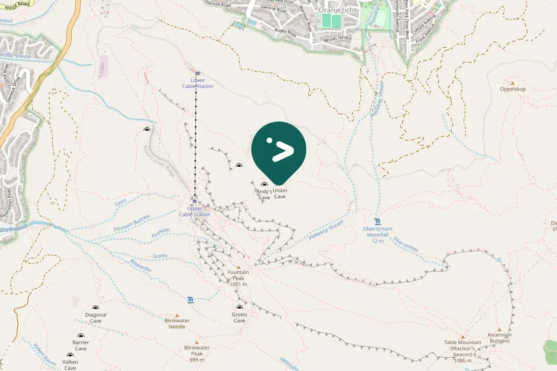 Spotted Red-eyed Dove