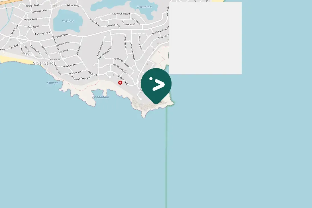 Spotted Bank Cormorant