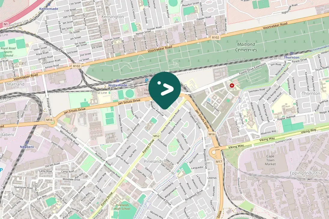 Spotted Ring-necked Dove