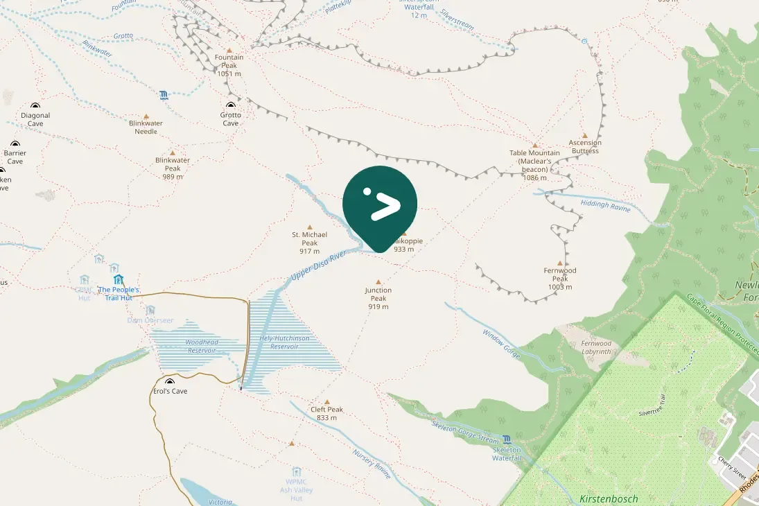 Spotted Rock Kestrel