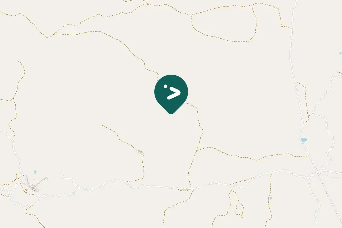 Spotted Burchell's Coucal