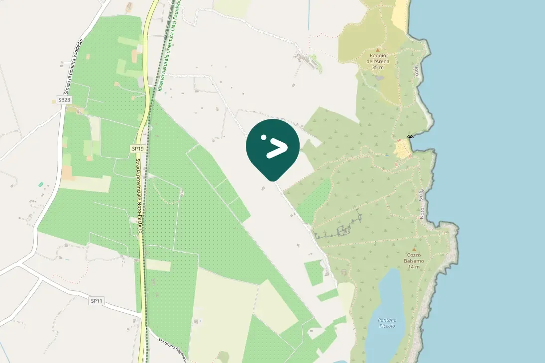 Spotted Eleonora's Falcon