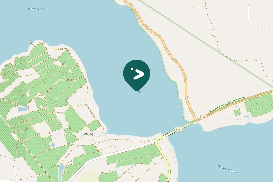 Spotted Pied Kingfisher