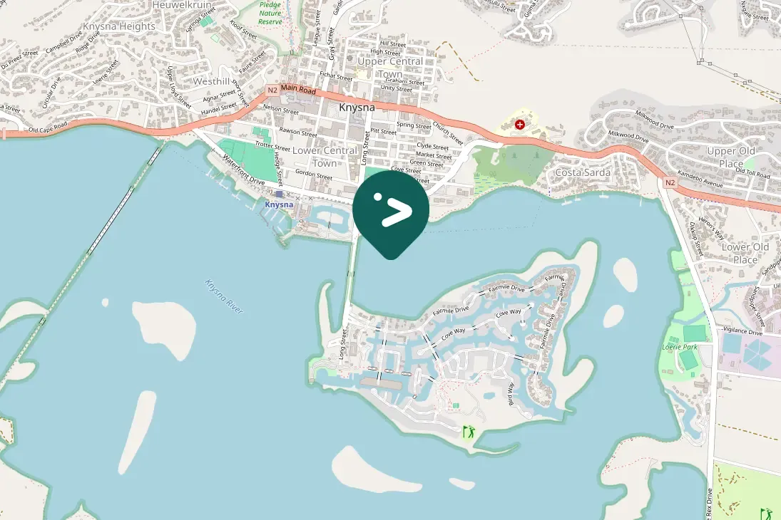 Spotted Yellow-billed Egret