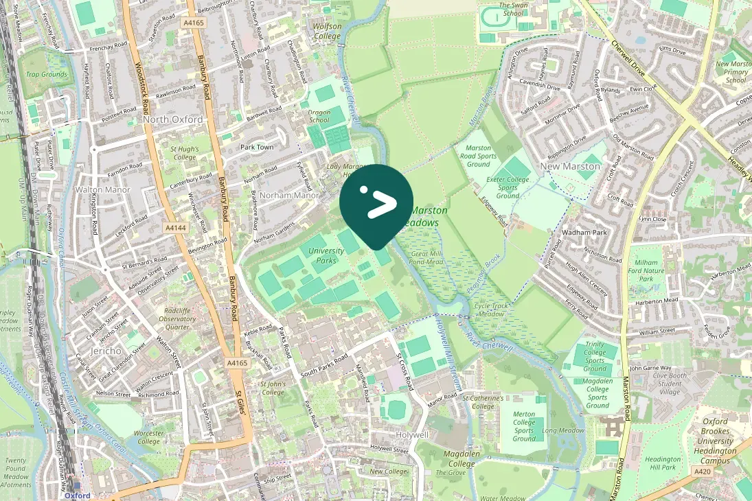 Spotted Mistle Thrush