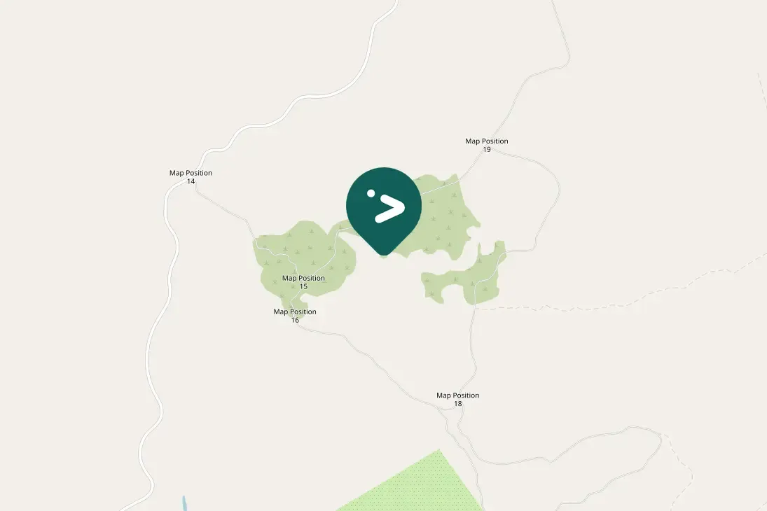 Spotted Black-headed Heron