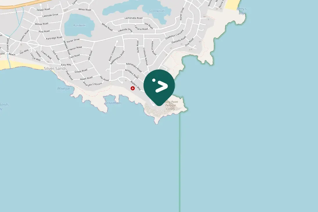 Spotted Speckled Pigeon