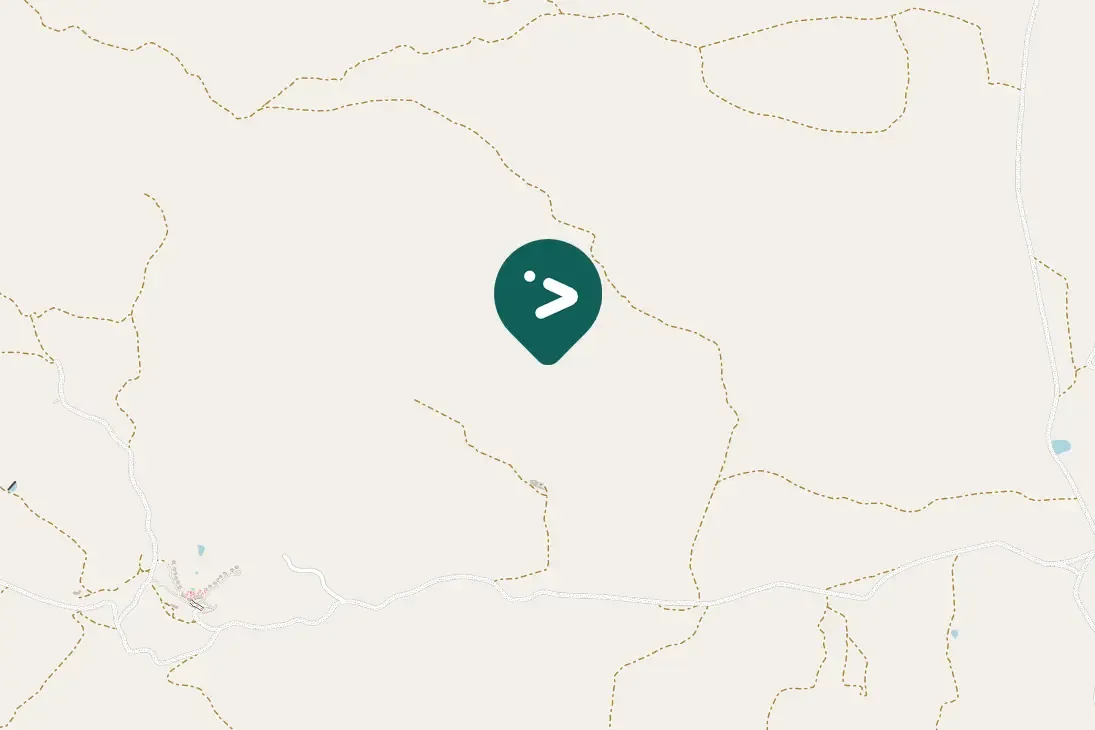 Spotted Blacksmith Lapwing