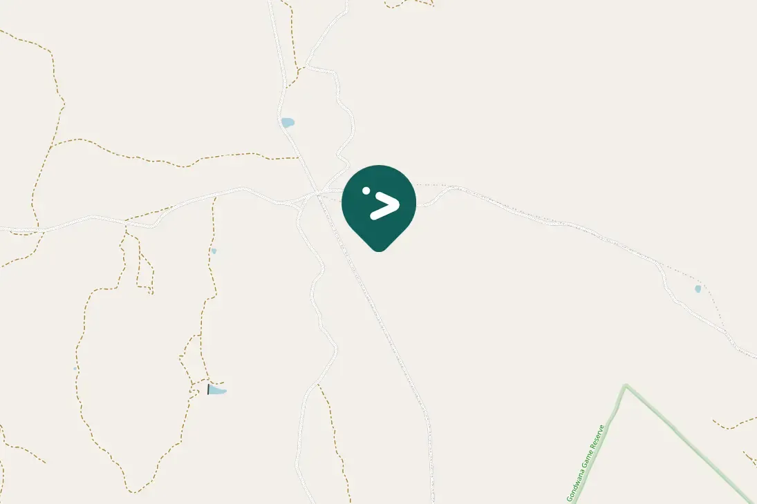 Spotted Crowned Lapwing