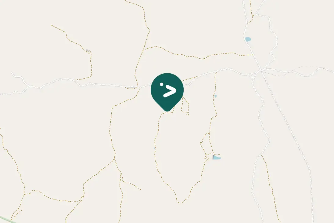 Spotted Three-banded Plover