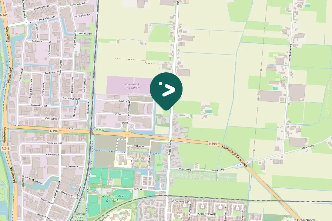 Spotted Canada Goose