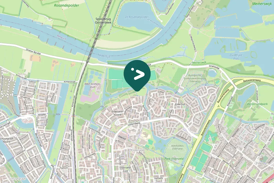 Spotted Mediterranean Gull