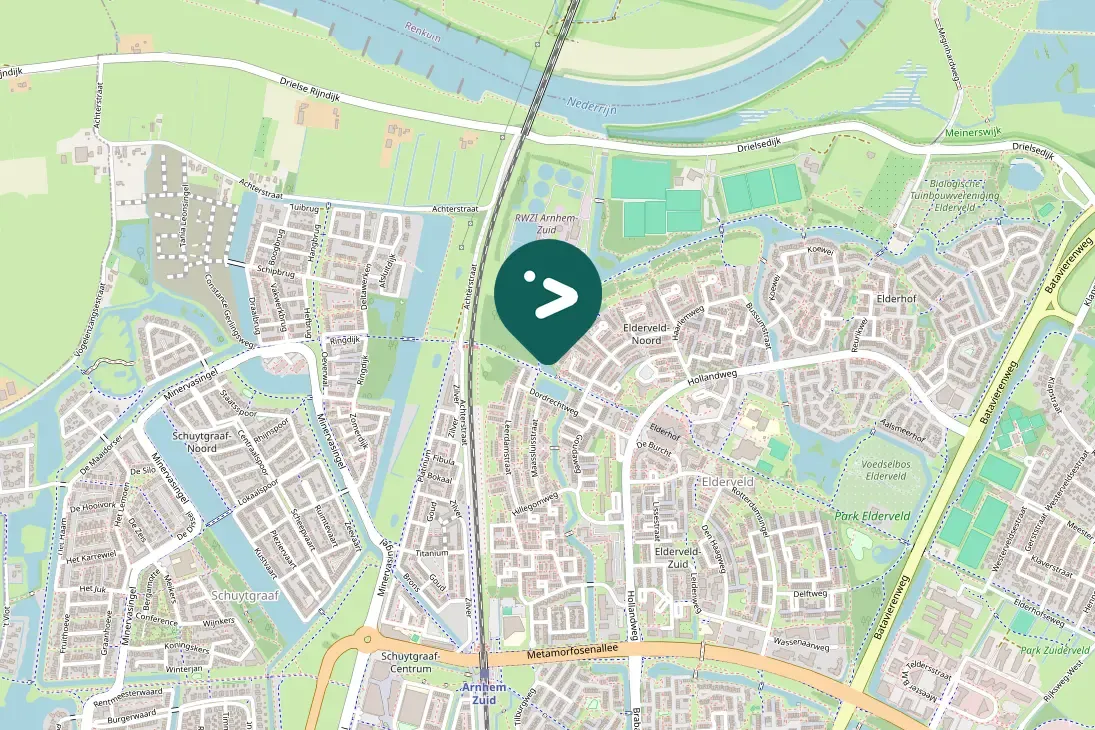 Spotted Eurasian Coot