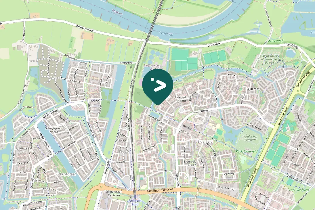 Spotted Canada Goose