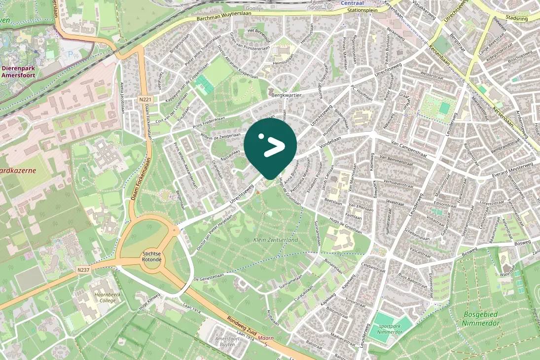 Spotted Common Chaffinch