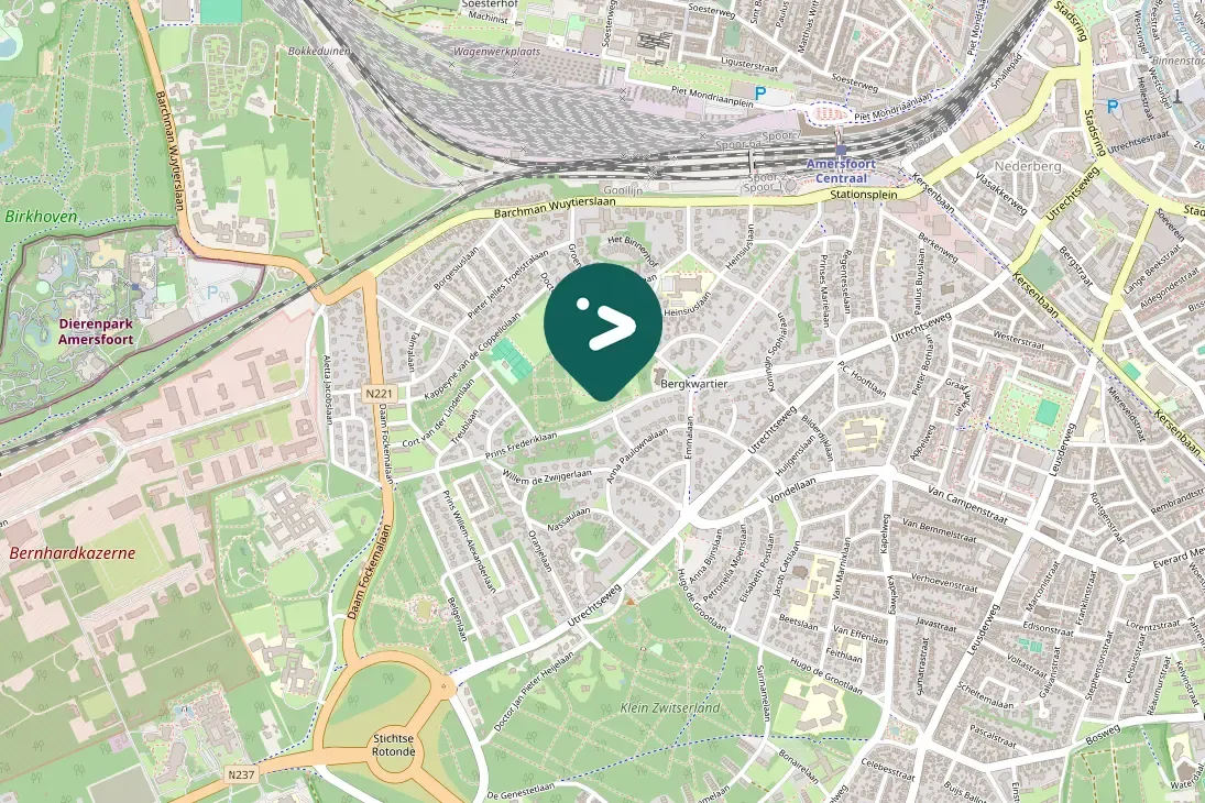 Spotted Great Spotted Woodpecker