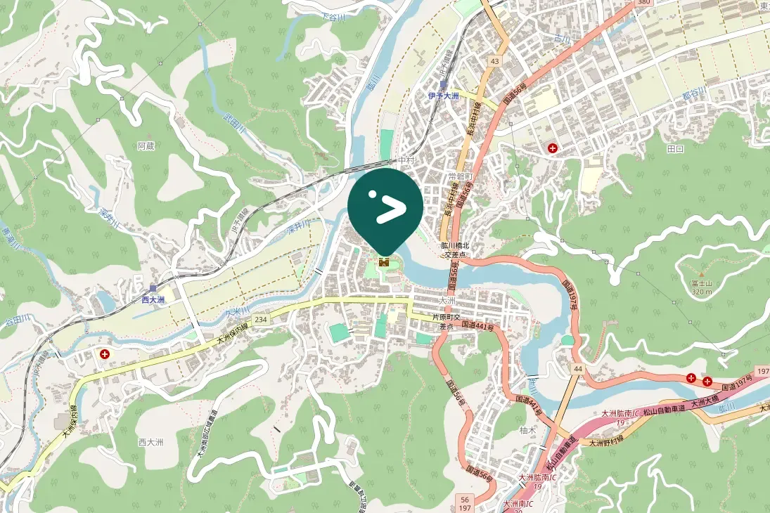 Spotted Eurasian Wigeon