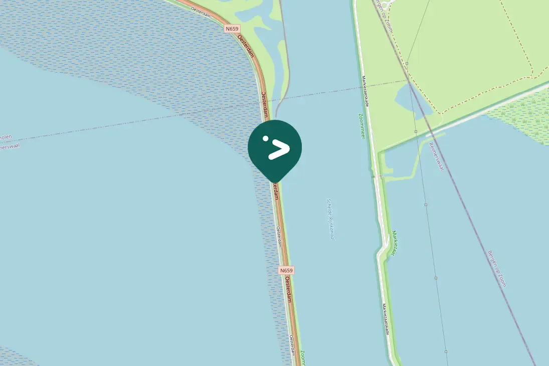 Spotted Canada Goose