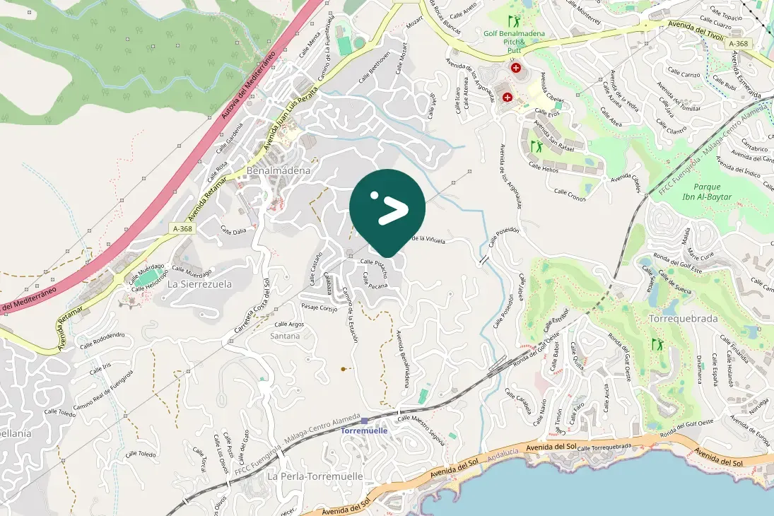 Spotted Western Cattle-Egret