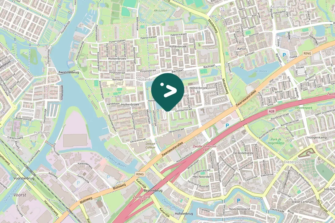 Spotted Canada Goose