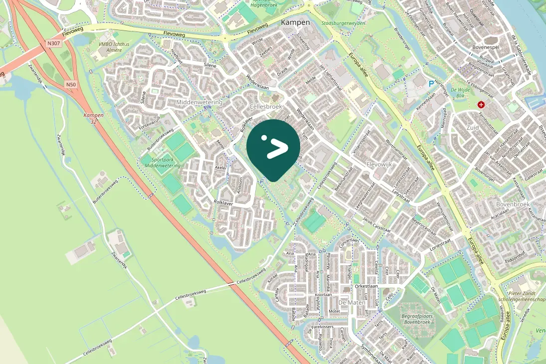 Spotted Eurasian Green Woodpecker