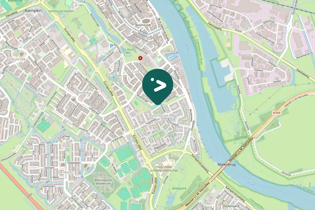 Spotted Canada Goose