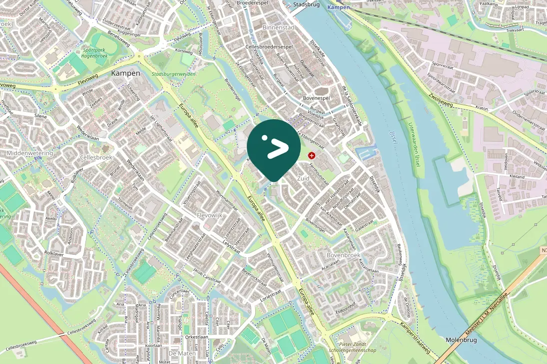 Spotted Eurasian Moorhen