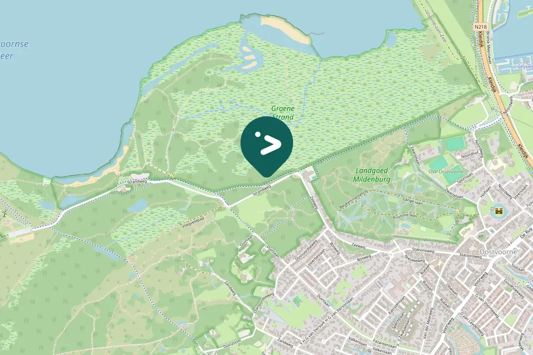 Spotted Common Rosefinch