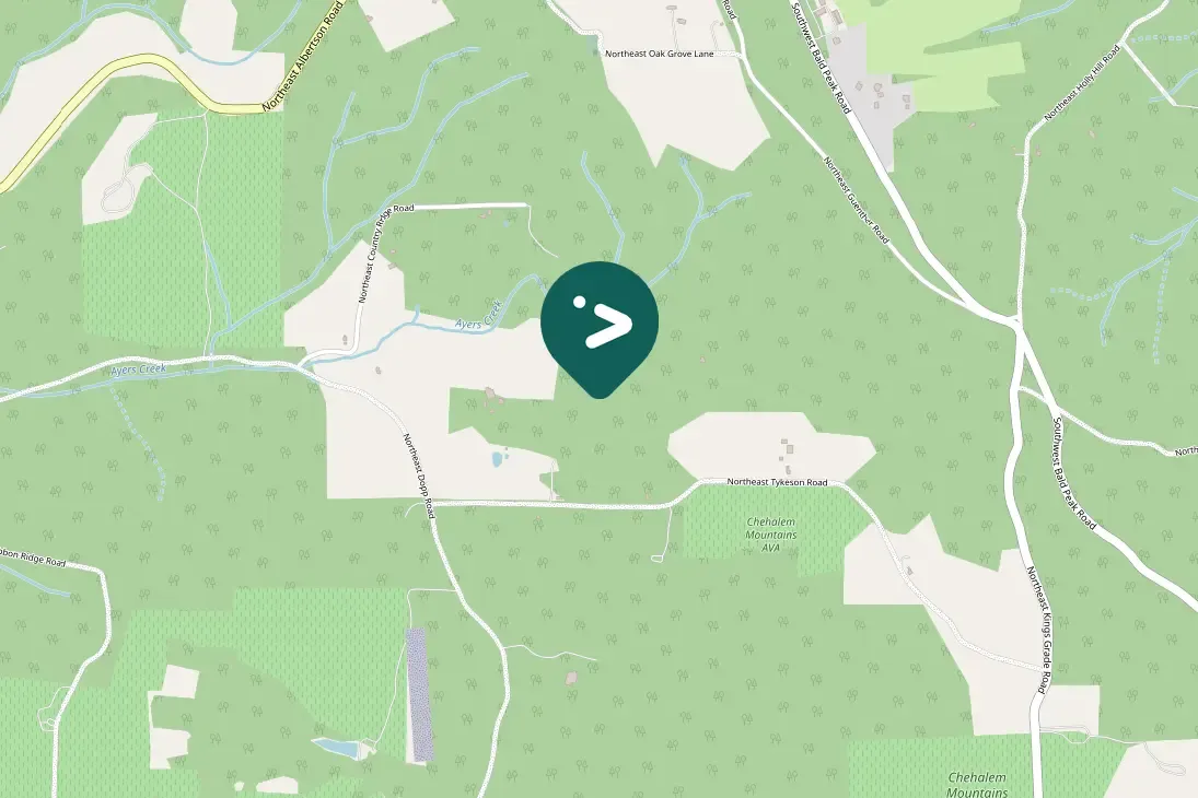 Spotted Red-winged Blackbird