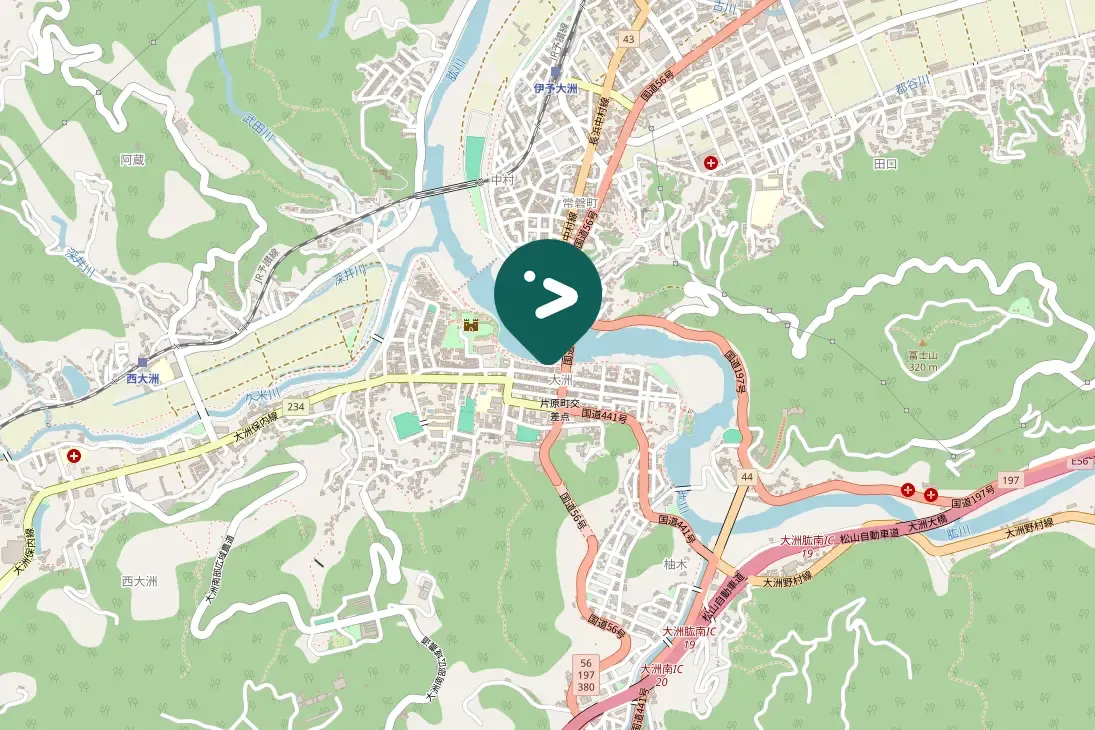 Spotted Barn Swallow