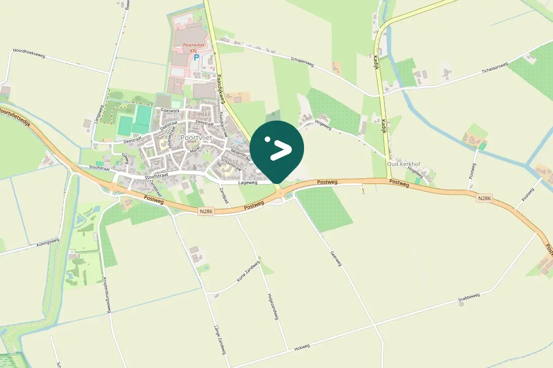 Spotted Lesser Black-backed Gull