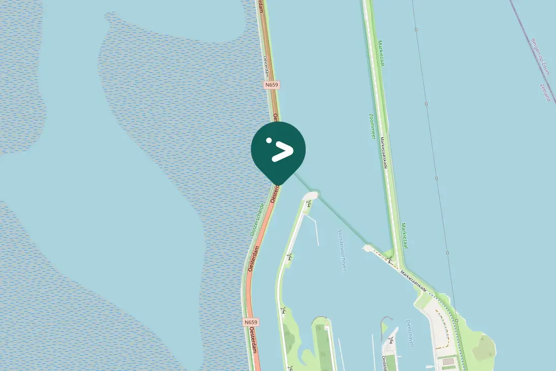 Spotted Eurasian Curlew