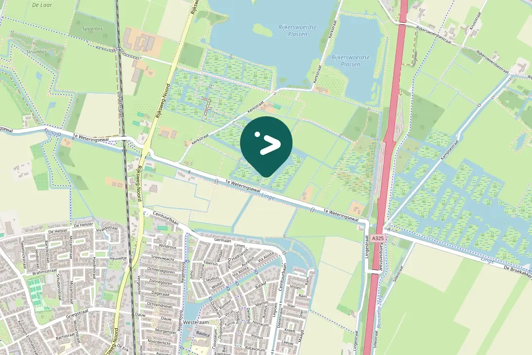 Spotted Bearded Reedling